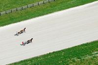 Horses in training