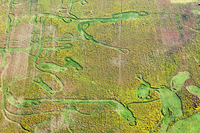 Abstract patterns in a field
