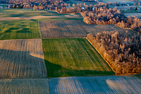 Fields and Woods just before late fall sunsent