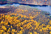 The last of fall color hangs on