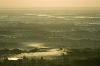 Misty Morning Sunrise
