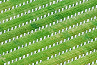 Remember, Respect, Honor - National Cemetery, Rittman, Ohio